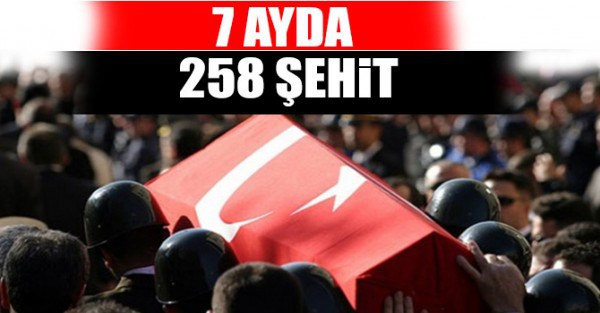 Türkiye, teröre 7 ayda 258 şehit verdi